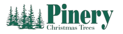 pinerychristmastrees.com