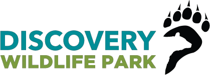 discoverywildlifepark.com