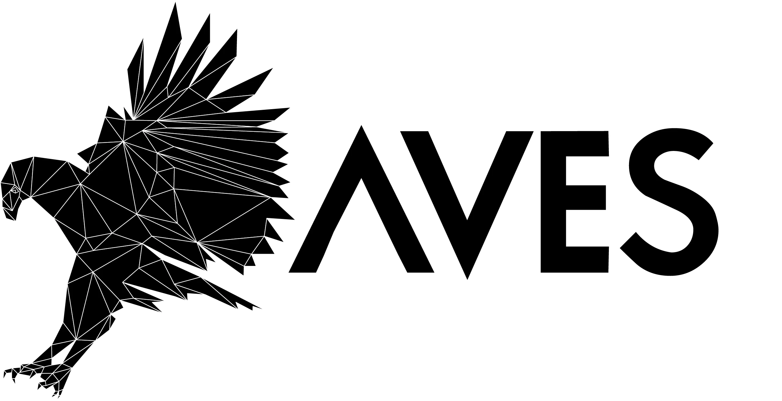 avesrails.com