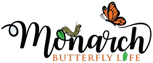 monarchbutterflylifecycle.com