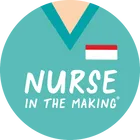 anurseinthemaking.com