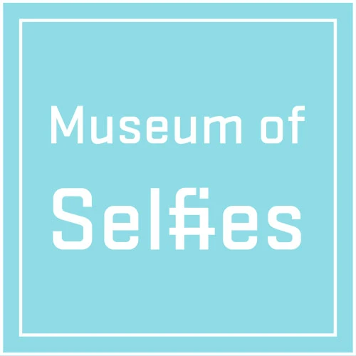 museumofselfies.com