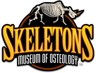 skeletonmuseum.com