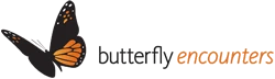 butterflyencounters.com