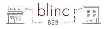 blincb2b.com