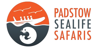 padstowsealifesafaris.co.uk