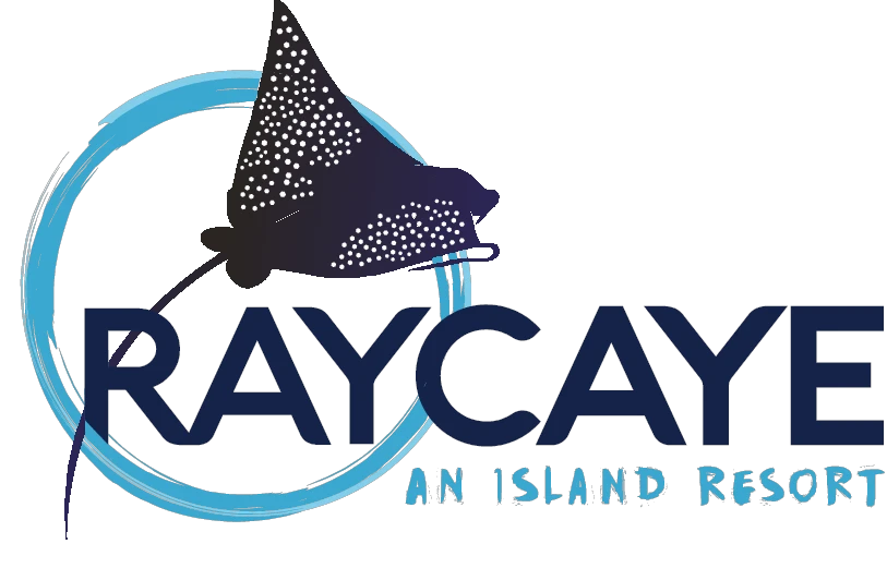 raycaye.com