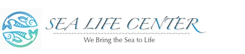 sealifecenter.org