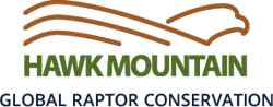 hawkmountain.org