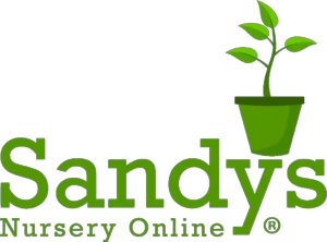 sandysnurseryonline.com