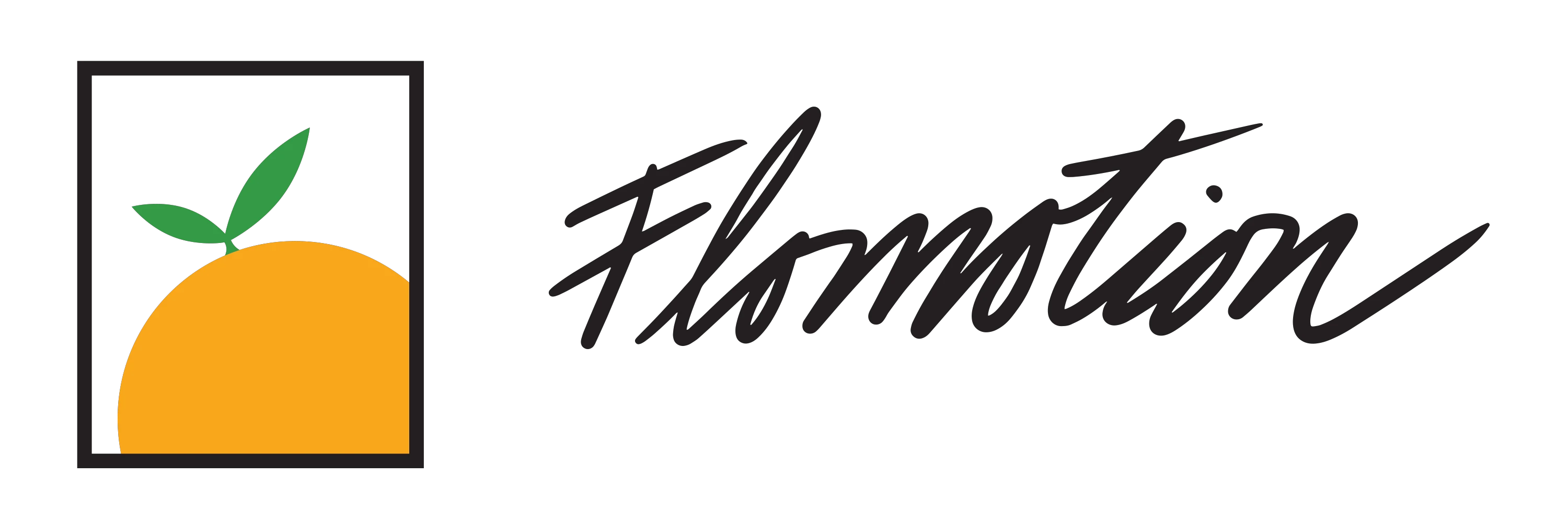 flomotion.com