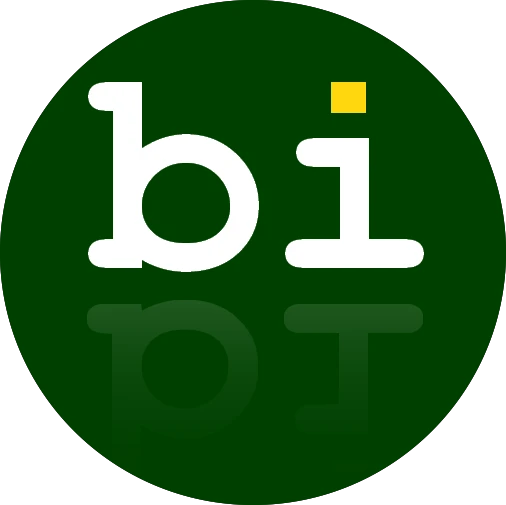 bibisco.com