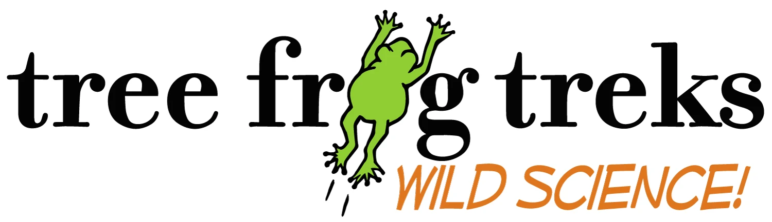 treefrogtreks.com