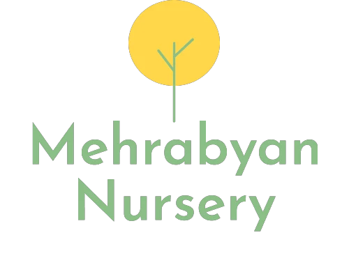 mehrabyannursery.com