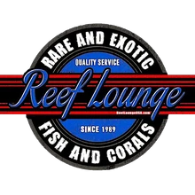 reefloungeusaa.com