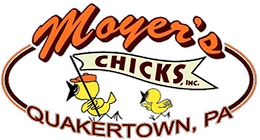 moyerschicks.com