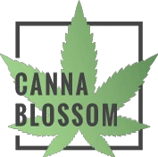 cannablossom.co