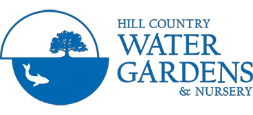 hillcountrywatergardens.com