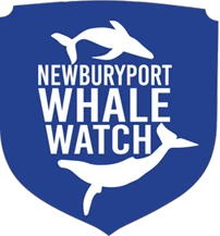 newburyportwhalewatch.com