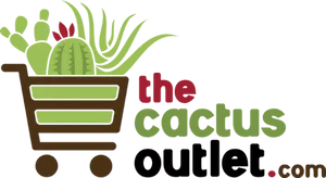 cactusoutlet.com