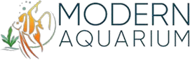 modernaquarium.com