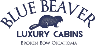 bluebeavercabins.com