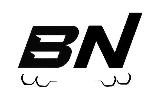 bimmernetwork.com