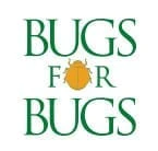 bugsforbugs.com.au