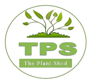 theplantshed.net