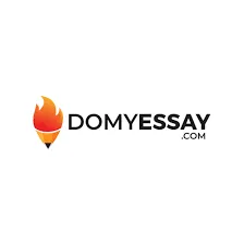 domyessay.com