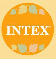 intexofficial.com