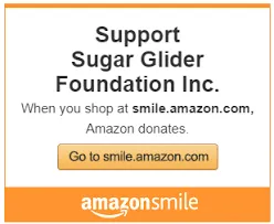 sugargliderinfo.org