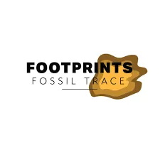 fossiltrace.com