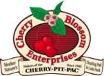 cherrypitpac.com