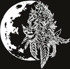 moonflowerhemp.com