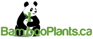 bambooplants.ca