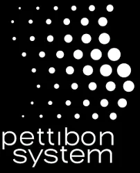 pettibonsystem.com