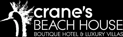 cranesbeachhouse.com