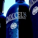caduceus.org