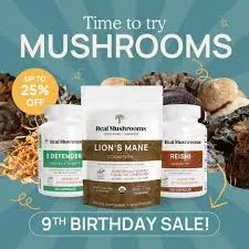 realmushrooms.shop