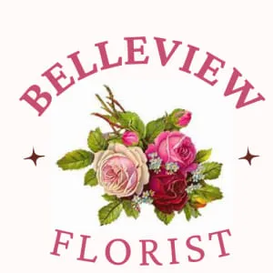 belleviewflorist.com