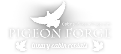 cabinsofpigeonforge.com