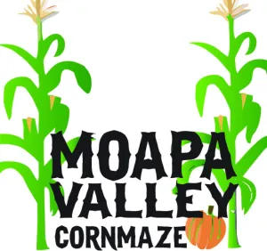 mvcornmaze.com