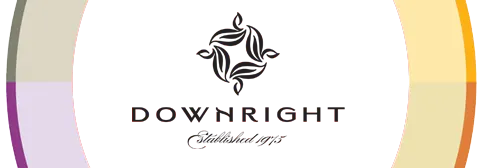 downrightltd.com