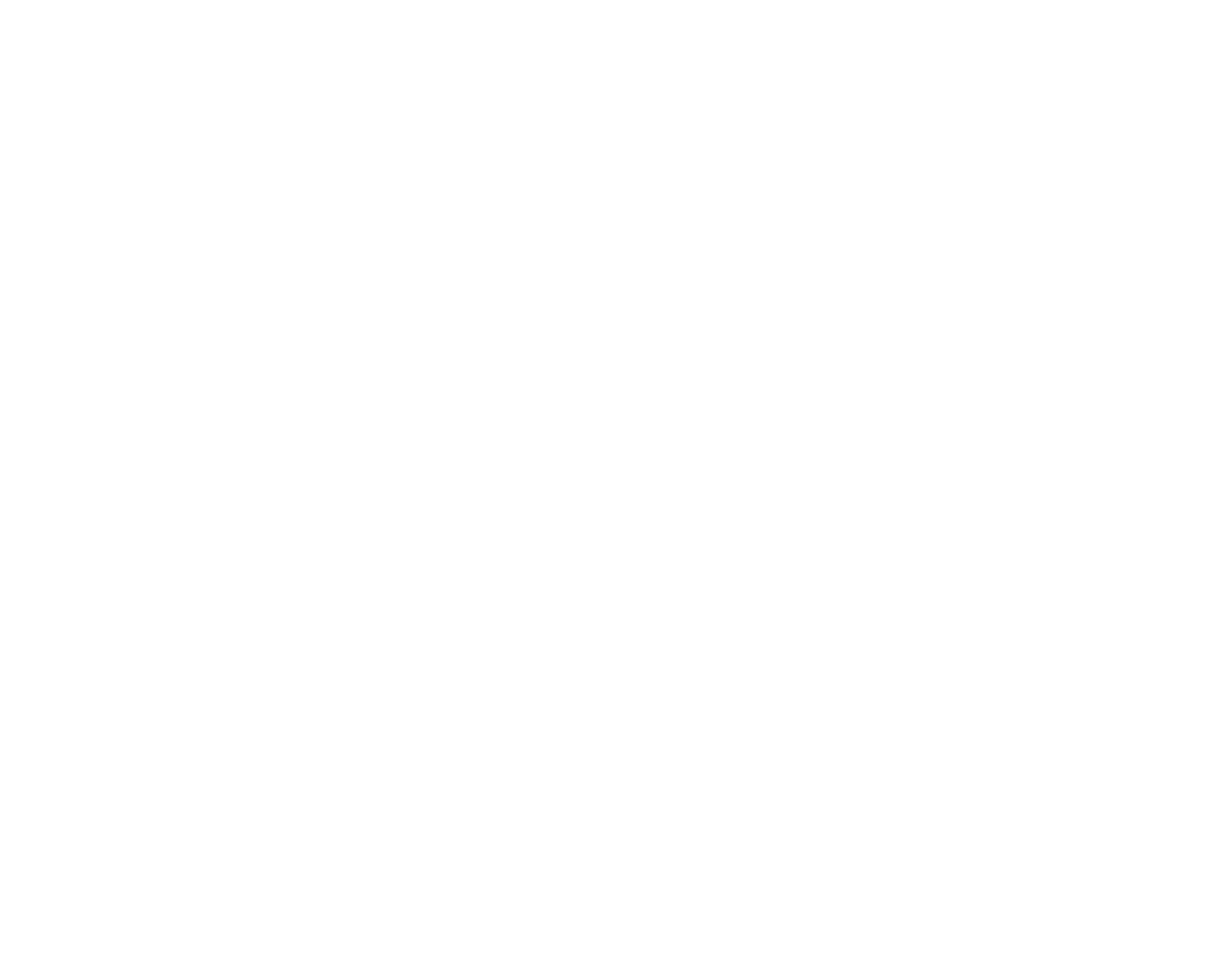 blowfishchicago.com