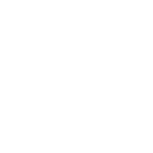 nexxburger.com