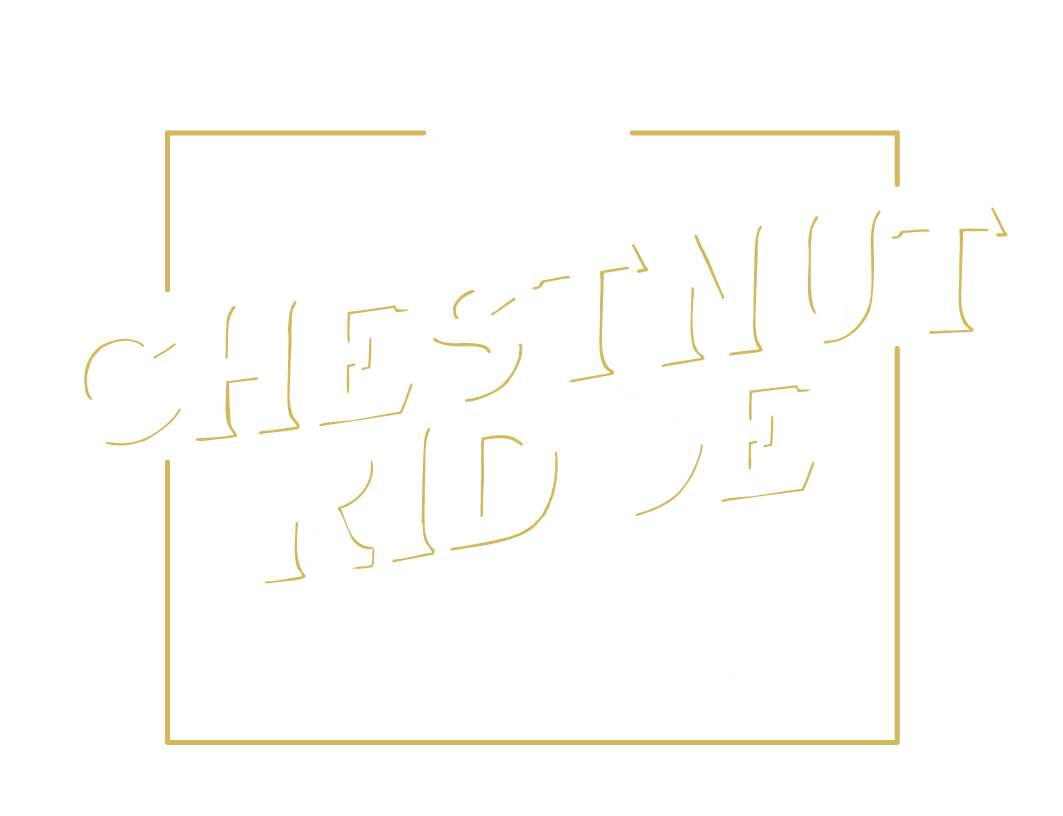 chestnutridgeofpikecounty.com