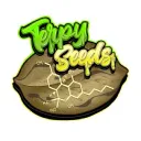 terpyseeds.com