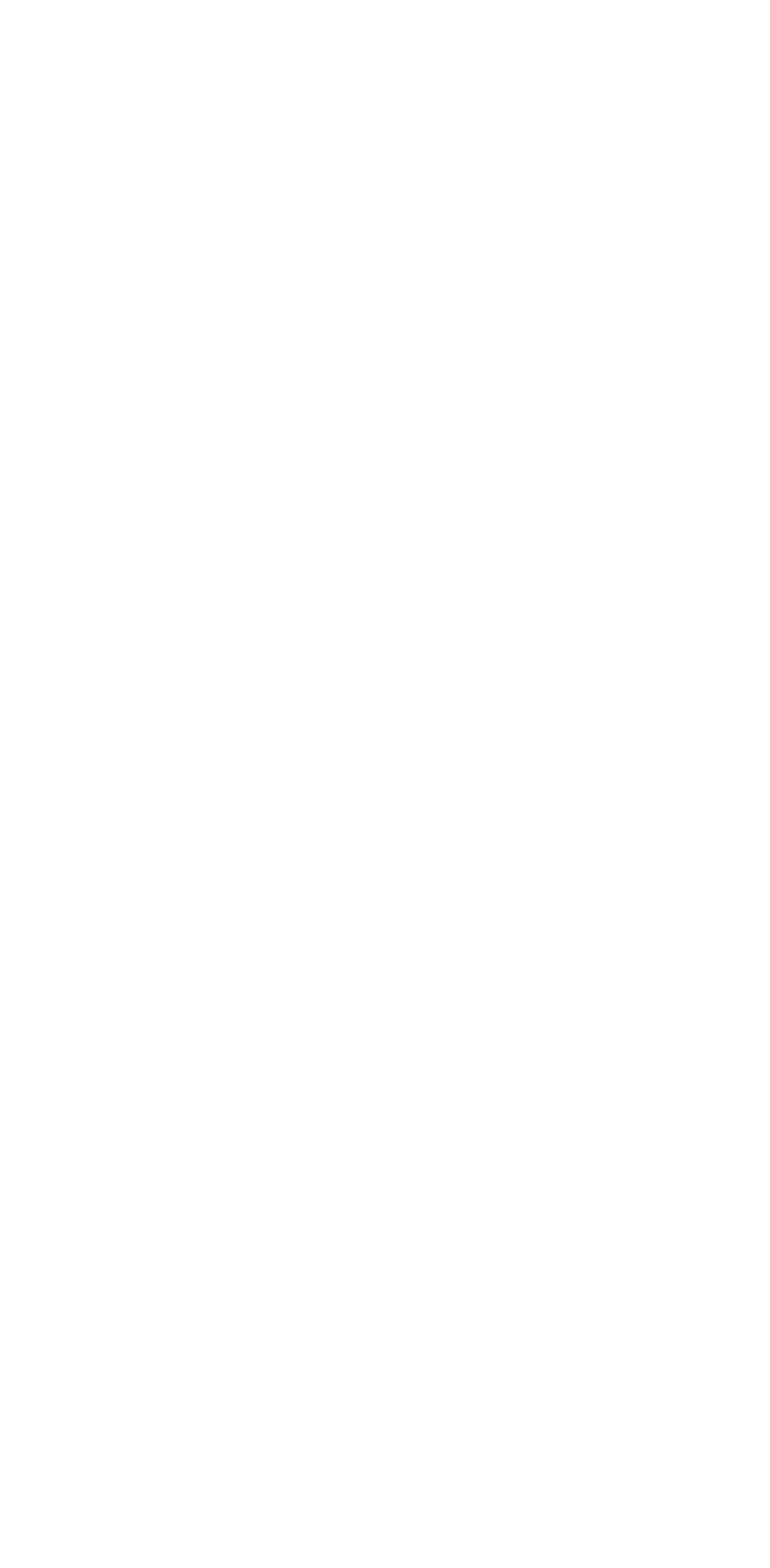 midori.eu