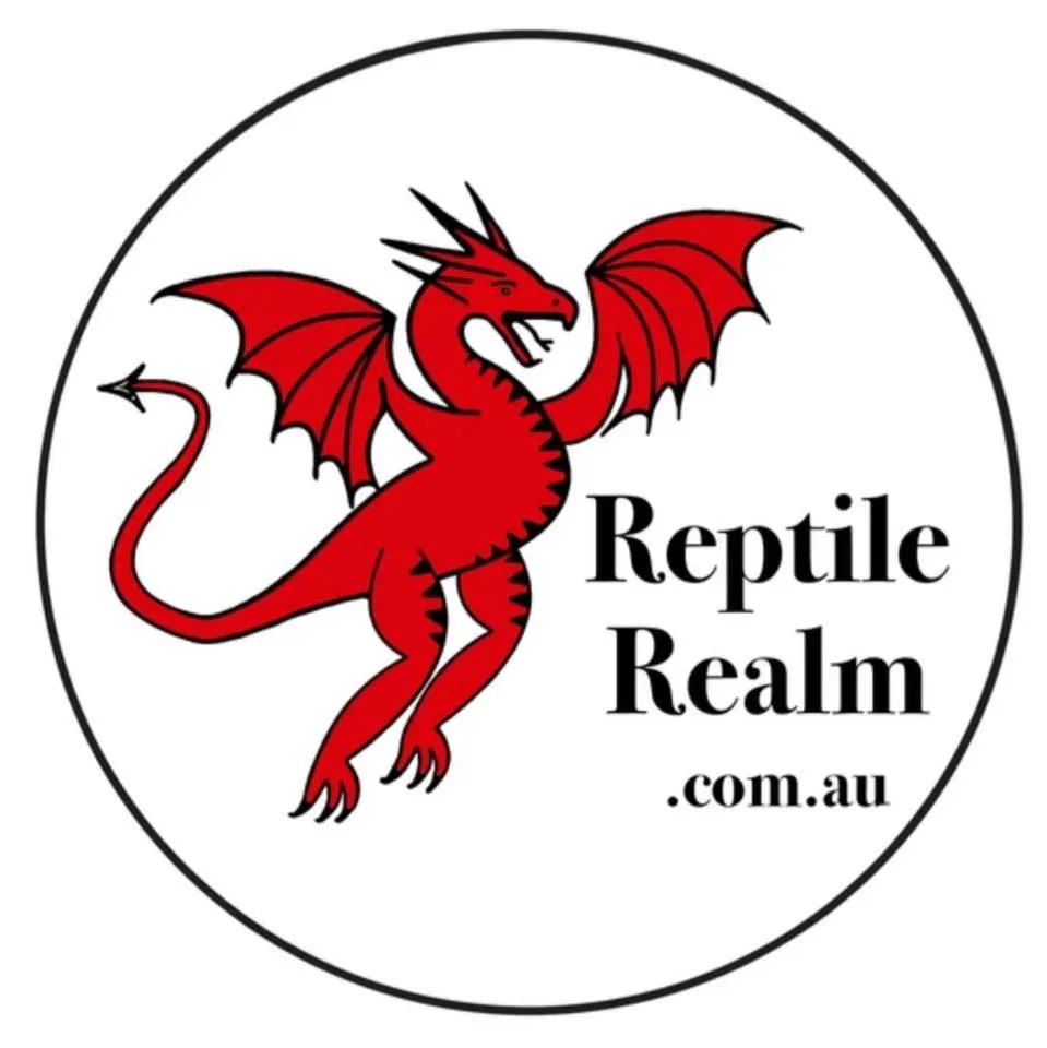 reptilerealm.com.au